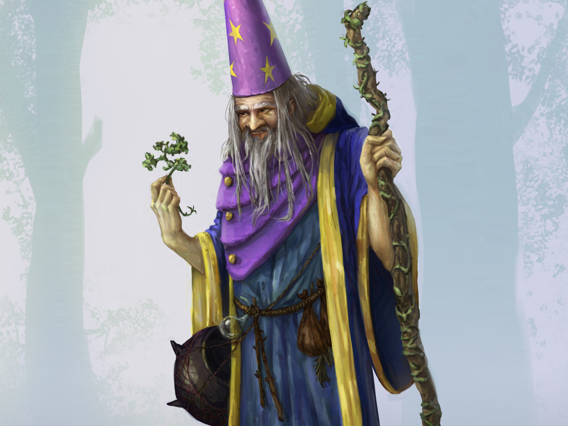 Alchemist Wizard